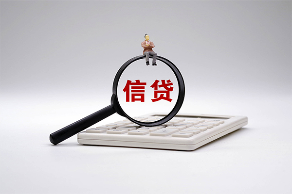 成都33大额短借